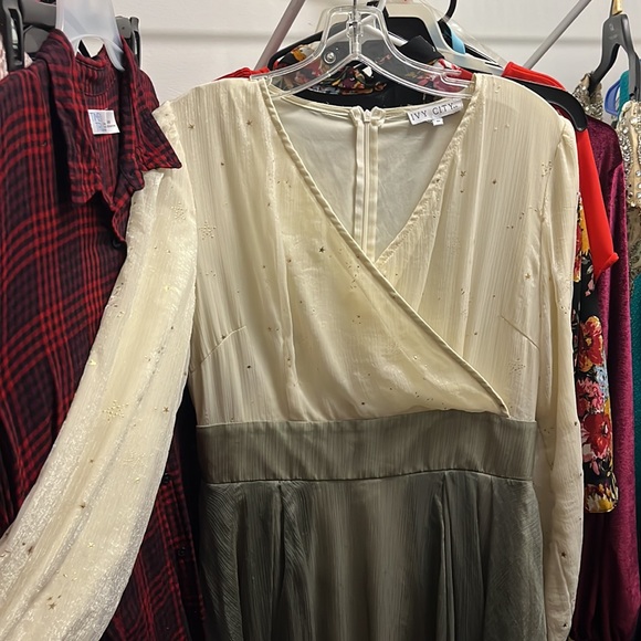 RARE Ivy City Co Green Woodland Dress BNWT - Picture 10 of 13